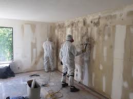 Best Commercial Mold Inspection  in Weddington, NC